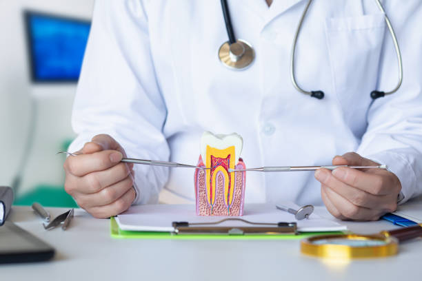 Best Cosmetic Emergency Dentistry in Fairview, MT